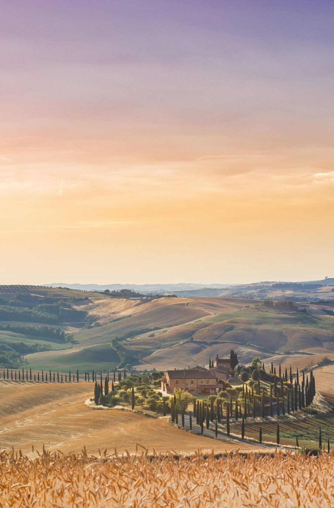 Finca italiana vegetación luz cálida verano tardío otoño tonos siena — SVMSARA gafas sol otoño hombre